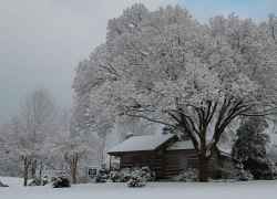 Florence, Alabama - W.C. Handy Museum and Library
