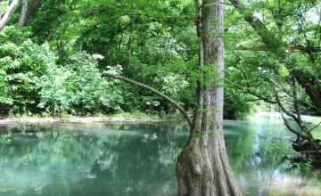 Blue water creek that runs through Sacred Way Sanctuary, Wildlife Preserve
