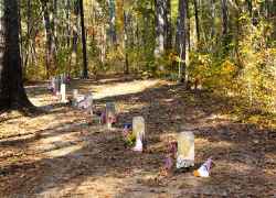 Site of 13 unknown Confederate gravesites. Natchez Trace Parkway
