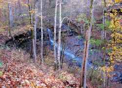 Fall Hollow Waterfall - Natchez Trace Parkway