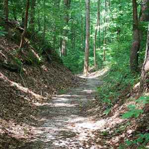 Dogwood Valley Hiking Trail