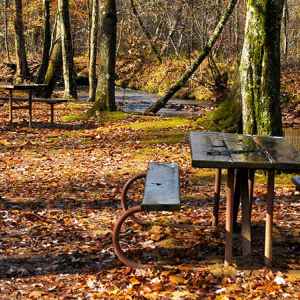 Holly Picnic Area - Natchez Trace Parkway