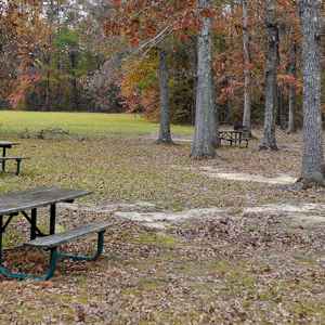 Tennessee-Tombigbee Waterway Picnic Area - Natchez Trace Parkway