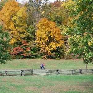 Tennessee - Cyclist biking past Burns Branch - Natchez Trace Fall Foliage - October 24 - Photographer: Randy Fought