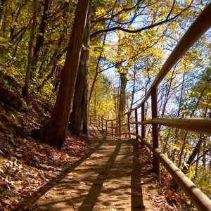 Tennessee - Paved Trail at Jackson Falls - Natchez Trace Fall Foliage - October 26 - Photographer: Suzi Minor