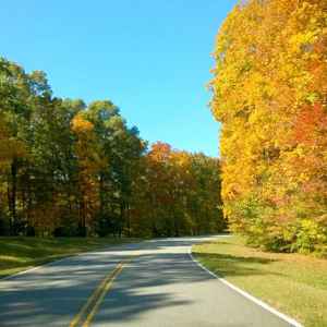 Tennessee - Parkway at milepost 420 - Natchez Trace Fall Foliage - October 26 - Photographer: Suzi Minor