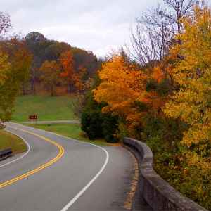 Tennessee - Parkway at the Jackson Falls turnoff - Natchez Trace Fall Foliage - October 27 - Photographer: Thomas Jordan