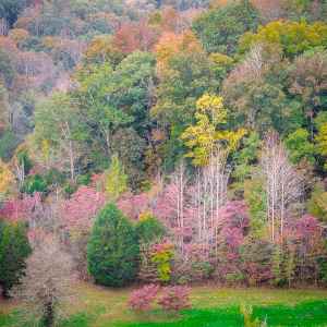 Tennessee - View from Double Arch Bridge - Natchez Trace Fall Foliage - October 27 - Photographer: Tuck Choong Tang