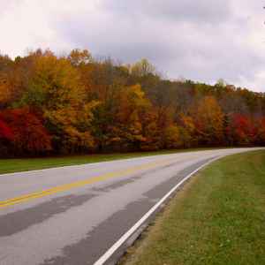 Tennessee - Parkway near milepost 358 - Natchez Trace Fall Foliage - October 28 - Photographer: Robert Bauer