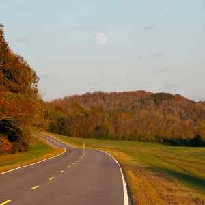 Tennessee - Parkway near milepost 395 - Natchez Trace Fall Foliage - October 28 - Photographer: Ryan Deleon