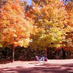 Mississippi - Bicycle at Jeff Busby Park - Natchez Trace Fall Foliage - October 30 - Photographer: David Fritsch