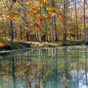 Alabama - Beaver Pond at Rock Spring - Natchez Trace Fall Foliage - October 30 - Photographer: Julie Heinrich