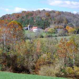 Tennessee - View of Farmland from milepost 427 - Natchez Trace Fall Foliage - November 1 - Photographer: Jeff Miller