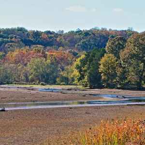 Alabama - Colbert Ferry - Natchez Trace Fall Foliage - November 1 - Photographer: Mary Carton