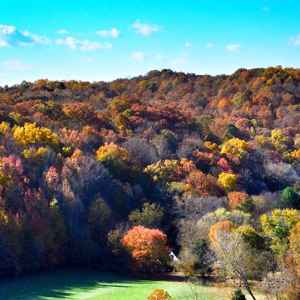 Tennessee - View from Double Arch Bridge - Natchez Trace Fall Foliage - November 1 - Photographer: Melody Ryan