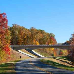 Tennessee - Hwy 840 Overpass - Natchez Trace Fall Foliage - November 1 - Photographer: Peggy Anderson