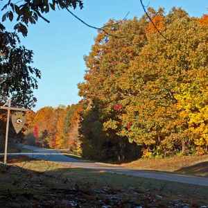 Tennessee - Sheboss Place - Natchez Trace Fall Foliage - November 1 - Photographer: Peggy Anderson