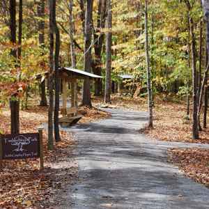 Tennessee - Trail at Timberland Park - Natchez Trace Fall Foliage - November 1 - Photographer: Randy Fought