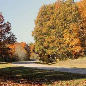Tennessee - Parkway at Sheboss Place - Natchez Trace Fall Foliage - November 2 - Photographer: Darlene Kinsey