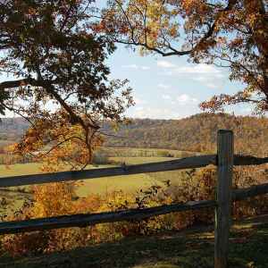Tennessee - Baker Bluff Overlook - Natchez Trace Fall Foliage - November 2 - Photographer: Joan Bobo