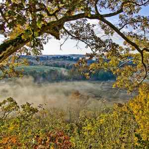 Tennessee - Fog at Baker Bluff Overlook - Natchez Trace Fall Foliage - November 2 - Photographer: Kenny Graves