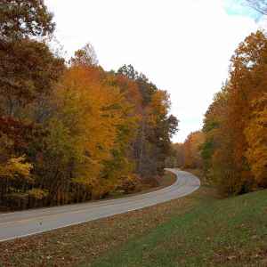 Tennessee - Parkway near Milepost 398 - Natchez Trace Fall Foliage - November 2 - Photographer: Roger Bobo