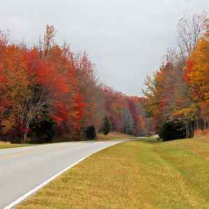 Tennessee - Parkway near Milepost 371 - Natchez Trace Fall Foliage - November 4 - Photographer: Cindy Barnett