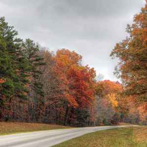 Tennessee - Parkway near Milepost 373 - Natchez Trace Fall Foliage - November 4 - Photographer: Cindy Barnett