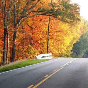 Mississippi - Parkway near Milepost 147 - Natchez Trace Fall Foliage - November 4 - Photographer: David Mooney