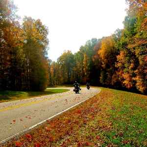 Tennessee - Motorcycles on the Parkway near Milepost 437 - Natchez Trace Fall Foliage - November 4 - Photographer: Priscilla Morris
