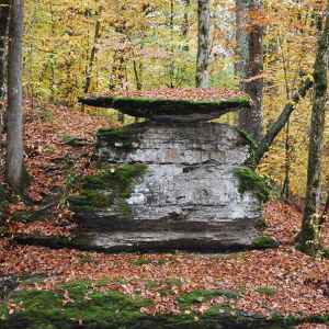 Tennessee - Famous Rock at Glenrock Branch - Natchez Trace Fall Foliage - November 6 - Photographer: Randy Fought