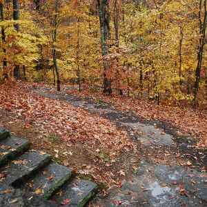 Tennessee - Trail at Sweetwater Branch - Natchez Trace Fall Foliage - November 6 - Photographer: Randy Fought