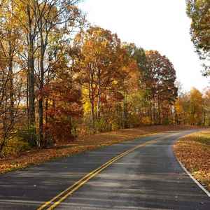Tennessee - Parkway at Milepost 420 - Natchez Trace Fall Foliage - November 7 - Photographer: Kim King Rolman