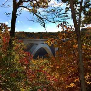 Tennessee - View of Double Arch Bridge - Natchez Trace Fall Foliage - November 9 - Photographer: Brenda Lasher