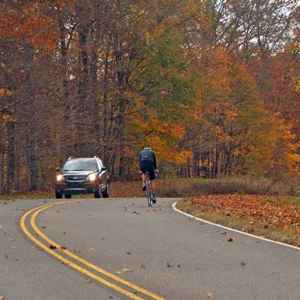 Tennessee - Cyclist near Milepost 438 - Natchez Trace Fall Foliage - November 9 - Photographer: Dennis Sherer
