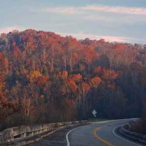 Tennessee - Parkway near Milepost 391 - Natchez Trace Fall Foliage - November 9 - Photographer: Peggy Anderson