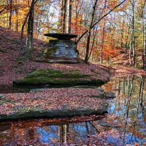 Tennessee - Glenrock Branch - Natchez Trace Fall Foliage - November 10 - Photographer: Bryan Burton