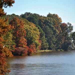 Mississippi - Ross Barnett Reservoir - Natchez Trace Fall Foliage - November 10 - Photographer: Connie Reeves