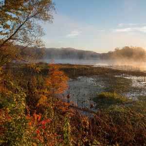 Mississippi - Fog on River Bend - Natchez Trace Fall Foliage - November 10 - Photographer: Judy Rushing