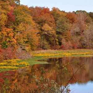 Mississippi - River Bend - Natchez Trace Fall Foliage - November 10 - Photographer: Sidwartha Ganguly