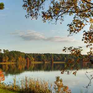 Mississippi - Ross Barnett Reservoir - Natchez Trace Fall Foliage - November 18 - Photographer: Judy Rushing