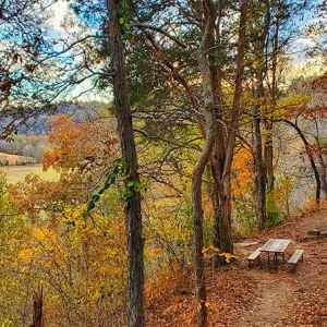 Picnic Area at Jackson Falls