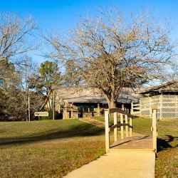 Walkway to House