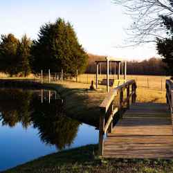 Bridge over Creek to Firepit Area