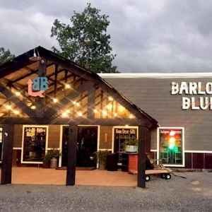 Barlow Blue - French Camp, Mississippi