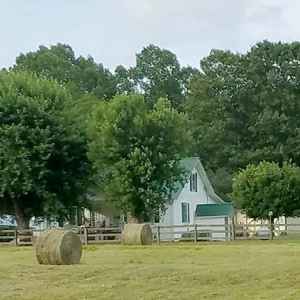 Jackson's Sweet Tea Cottage - Boston / Leiper's Fork, Tennessee