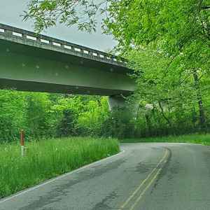 Old Highway 96 under the Natchez Trace Parkway