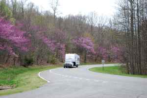 Redbuds in bloom near the northern terminus.
