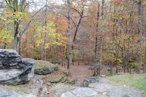 Jacks Branch at milepost 377.8