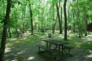 Picnic Area at Jacks Branch - milepost 377.8